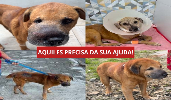 Aquiles precisa de ajuda