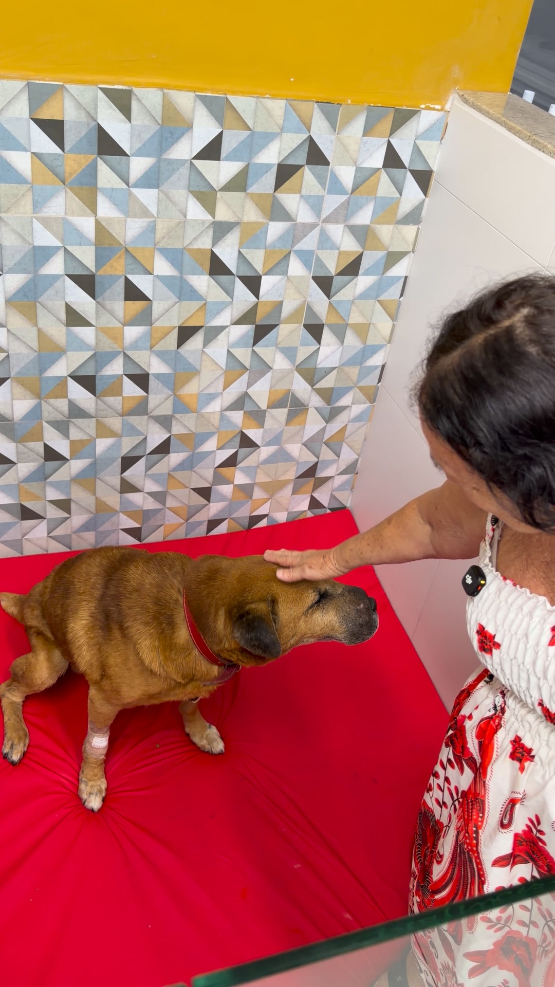 Aquiles em tratamento
